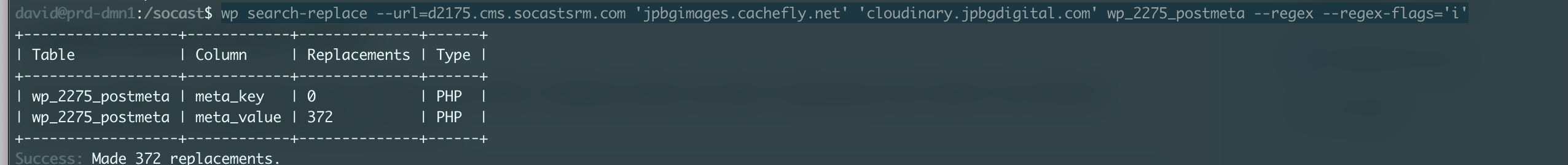 WordPress CLI Output